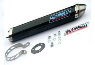 Aprilia RS 125 Giannelli Carbon Endschalldämpfer + ABE