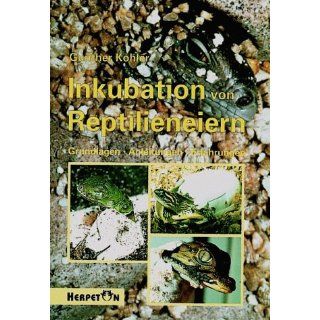 Inkubation von Reptilieneiern. Grundlagen Anleitungen Erfahrungen