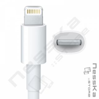 iPhone 5 Lightning Adapter von 8 auf 30 polig Länge 0,2 Meter USB