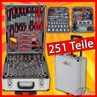 251 tlg Werkzeugkoffer Werkzeugkasten Werkzeugbox Werkzeugkiste