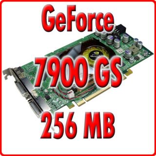 Nvidia Geforce 7900 GS 256MB DDR3 PCI E 2 x DVI TV Out Grafikkarte