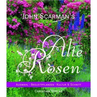 John Scarman`s Alte Rosen 170 Landhausrosen Auswahl