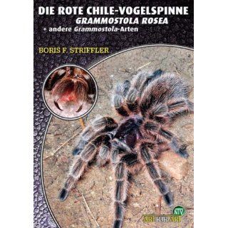 Kosmos Buch Vogelspinnen Pflege, Ernährung, Zucht, 150 Arten im
