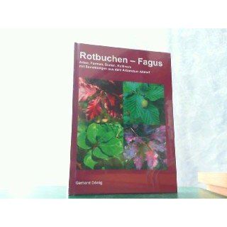 Rotbuchen Fagus Arten, Formen, Sorten, Kultivare mit Sammlungen aus