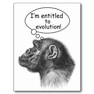 Great Ape Evolution Entitlement Postcard