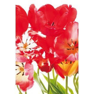 Fototapete Rote Tulpen   Größe 180 x 270 cm, 2 teilig 