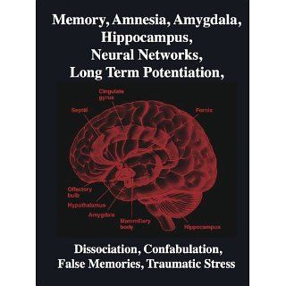 Memory, Amnesia, Amygdala, Hippocampus, Neural Networks, Long Term