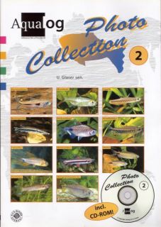 Aqualog Photo Collection 2 Salmler (Buch+CD, 359 Arten