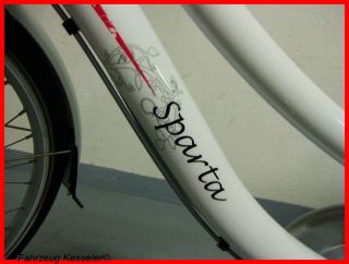 Sparta Granny Elektric Elektro Holland Fahrrad E Bike 250W 10 Ah, 28