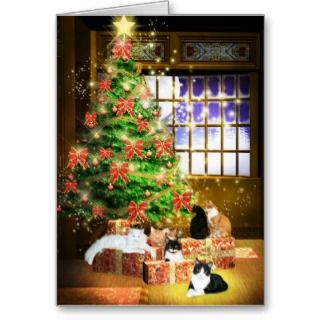 Cat Christmas Cards, Cat Christmas Card Designs