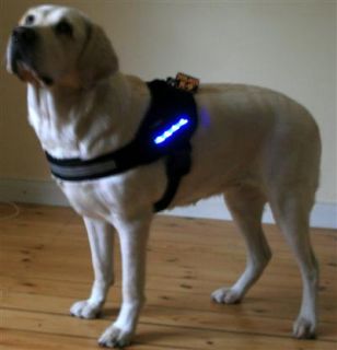 LED Strips als Logo für Julius K9® Hunde Geschirr gross