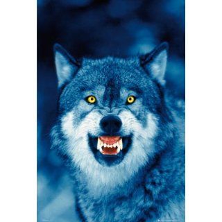 Poster Wolf   Nacht Zaehne leuchtende Augen Raubtier Jaeger