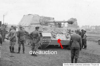 Jagdpanzer Tiger Elefant Ferdinand Panzer Jg Abt. 653 mit Wappen STG
