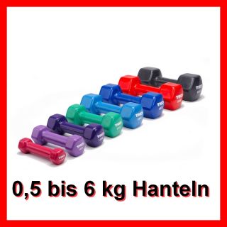 Hanteln / Hantel / Handgewichte / Kurzhantel, verschiedene Gewichte