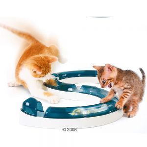 Katze Katzen Spielzeug Katzenspielzeug ~ Catit Senses ~ Spielschiene