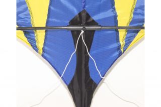 Delta Stunt Kite Lenkdrachen, 2m, Nylon Leine, 2 liner