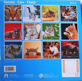 Tier Broschüren Kalender 2011 Katze / Katzen 30x60