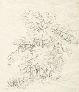 Gute Frühen 19. Jh. Graphitzeichnung   Ein Baum