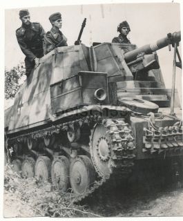 Foto 11. Panzer Div. Panzerjäger Marder Sd.Kfz. Sturmartillerie