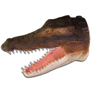 Leistenkrokodil Krokodil Kopf Deko lebensgroß 74cm #739