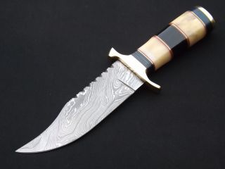 Damast messer Jagdmesser Damaststahl Damascus Steel Hunting Knife 6257