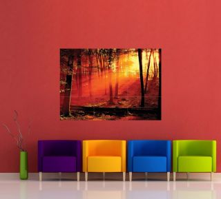 SUNSET AUTUMN FOREST NATURE ART GIANT POSTER X837