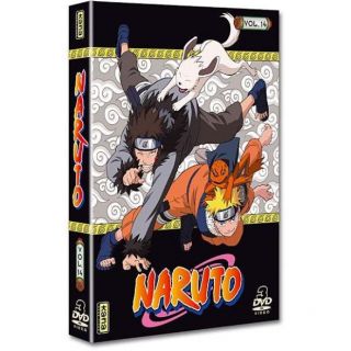 Naruto, vol. 14 en DVD DESSIN ANIME pas cher