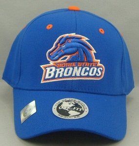 Boise State Broncos Team Color One Fit Hat Sports