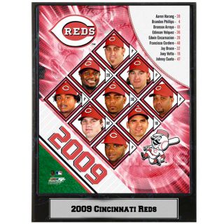 2009 Cincinnati Reds 9x12 inch Photo Plaque