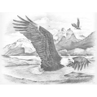 Sketching By Number Kit 11 1/2X15 1/2 Eagles Today $12.99
