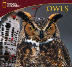 National Geographic Owls 2011 Calendar (Calendar)