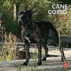 Cane Corso 2012 Calendar (Calendar)