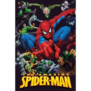 61 x 91 cm   Poster motif The Amazing Spider Man, dimensions env. 61 x