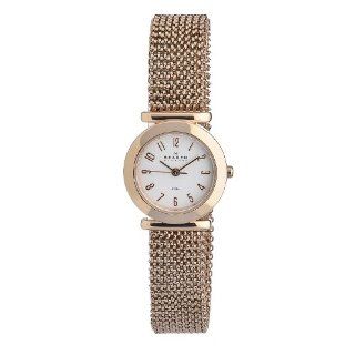 Skagen Womens 107SRR1 Quartz Stainless Steel Watch: Watches: 