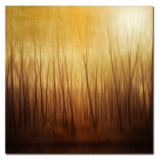 Philippe Sainte Laudy Ghost Forest Canvas Art