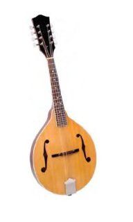 Saga Accoustic AM 10 Mandolin Kit Musical Instruments