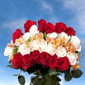 Top Secret 6 Bouquets 12 Red Roses 12 White Roses 4 Fillers 