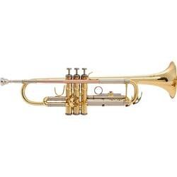 Prelude TR711 Trumpet Musical Instruments