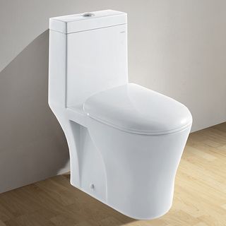 Royal Hurst Dual Flush Toilet