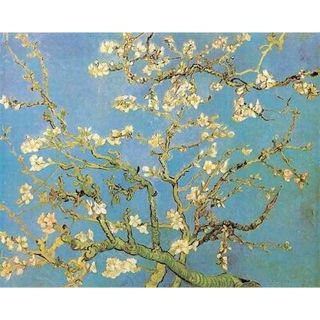 Almond Branches In Bloom Canvas Art