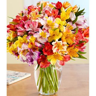 Mothers Day Preorder) 100 Blooms of Peruvian Lilies with Ginger Vase