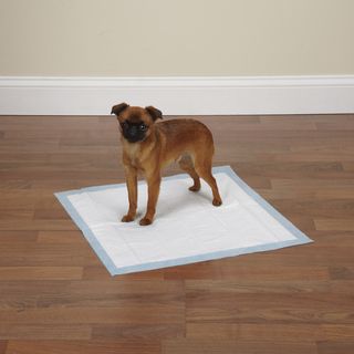 Clear Quest Value Puppy Pads (Case of 100)