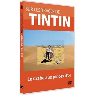 Tintin  sur les traces deen DVD FILM pas cher
