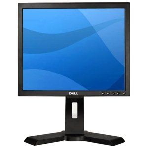 Dell Professional P170S 17 LCD Monitor   54   5 ms. 17IN