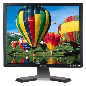 19 Dell E196FPb LCD Monitor (Black): Computers