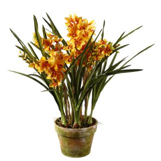 Gold Orchid 47 inch Tall Potted Plant Today: $284.99