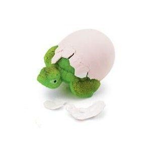 Tortoise Hatch Ems Egg Toys & Games