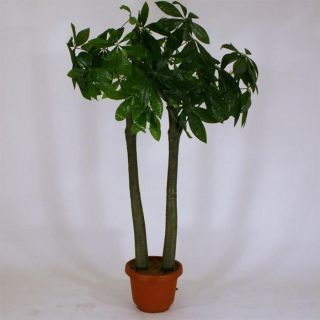 Plante Artificielle Schefflera 170 cm avec Pot   Achat / Vente FLEUR