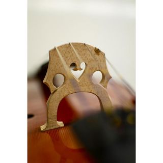 Stringed Instruments: Buy Violins, Cellos, & Stringed