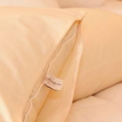 Eddie Bauer Standard size Goose Feather Pillow